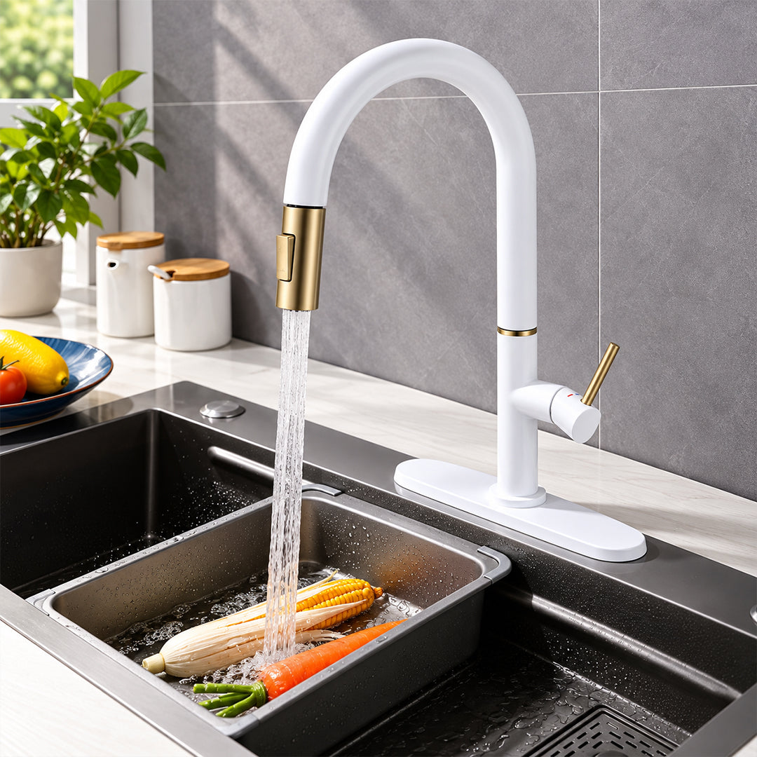 Pull Out Kitchen Faucet with Sprayer, Single Handle, High Arc, Deck Plate
