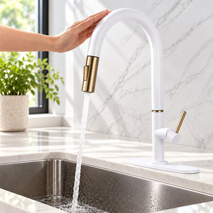 Touch Sensor Kitchen Faucet with Pull Out Sprayer, Single Handle, High Arc, Deck Plate