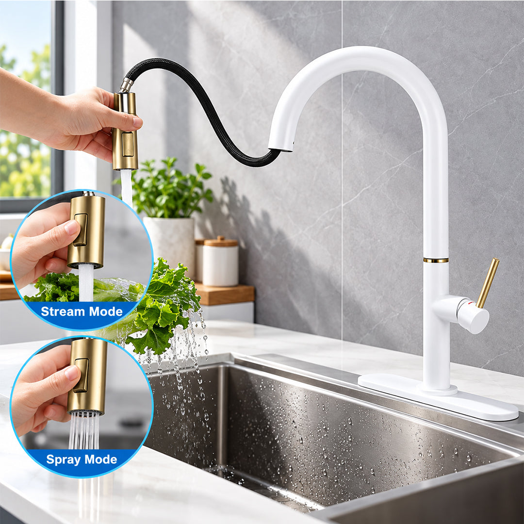 Pull Out Kitchen Faucet with Sprayer, Single Handle, High Arc, Deck Plate