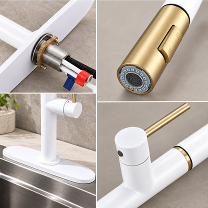 Pull Out Kitchen Faucet with Sprayer, Single Handle, High Arc, Deck Plate