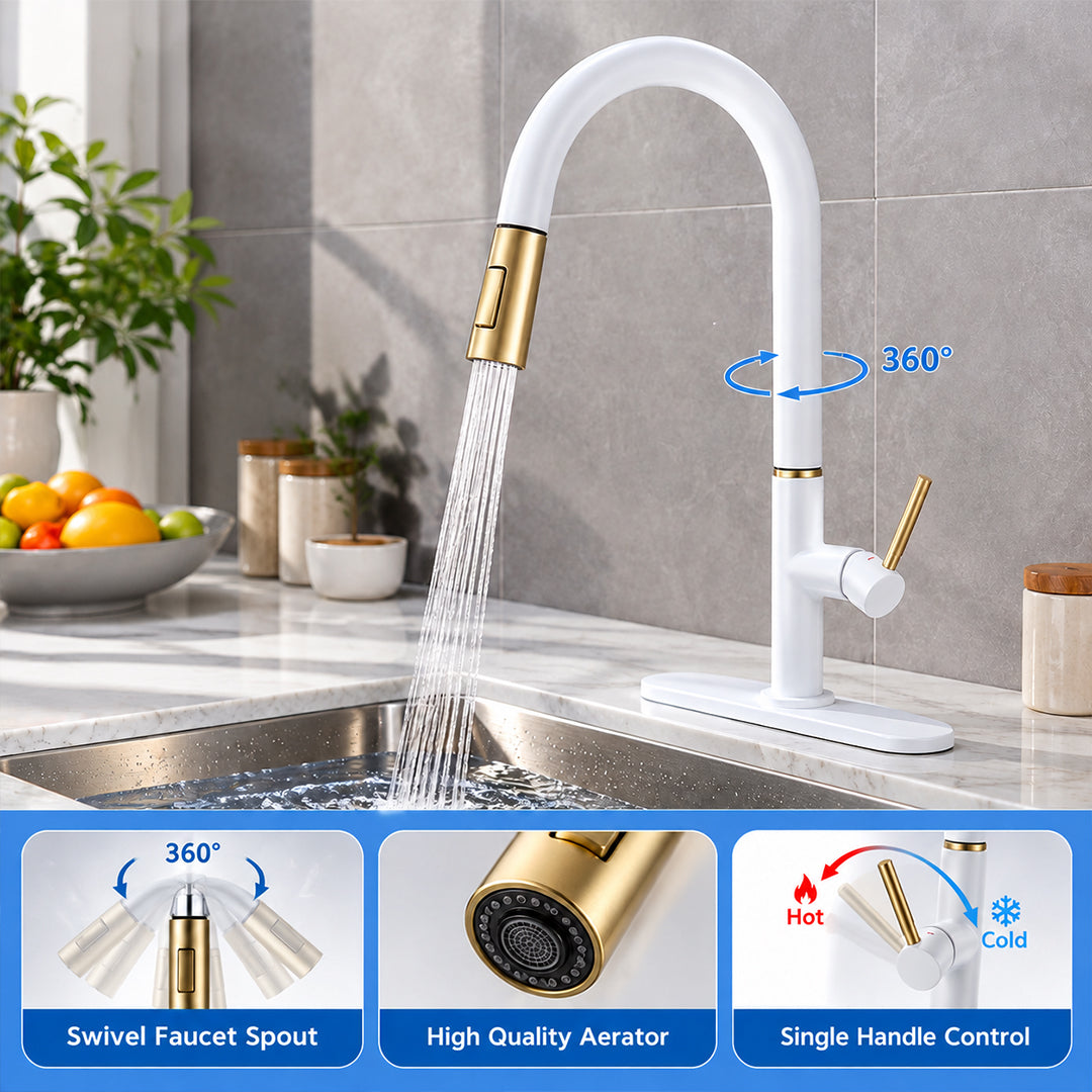 Pull Out Kitchen Faucet with Sprayer, Single Handle, High Arc, Deck Plate