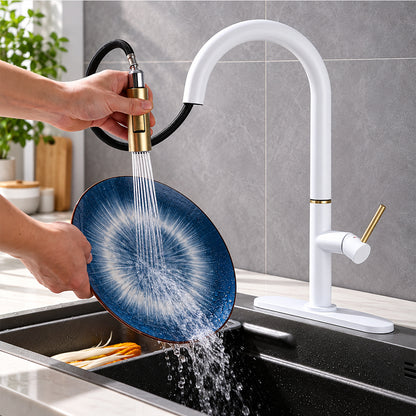 Pull Out Kitchen Faucet with Sprayer, Single Handle, High Arc, Deck Plate