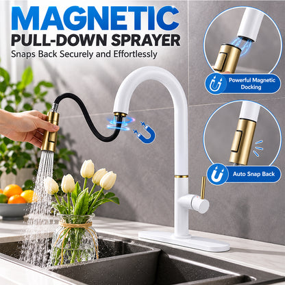 Pull Out Kitchen Faucet with Sprayer, Single Handle, High Arc, Deck Plate