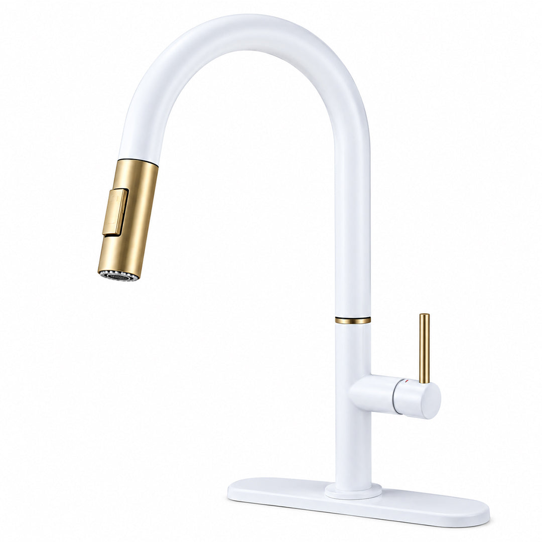 Pull Out Kitchen Faucet with Sprayer, Single Handle, High Arc, Deck Plate