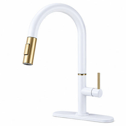 Pull Out Kitchen Faucet with Sprayer, Single Handle, High Arc, Deck Plate