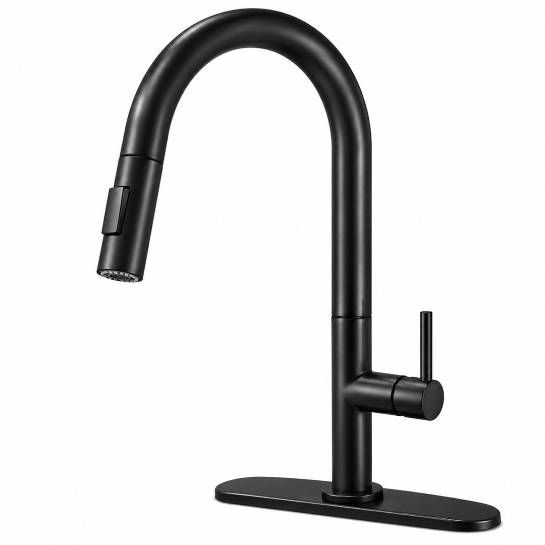 Pull Out Kitchen Faucet with Sprayer, Single Handle, High Arc, Deck Plate