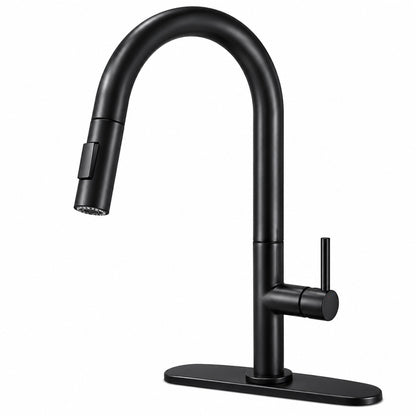 Pull Out Kitchen Faucet with Sprayer, Single Handle, High Arc, Deck Plate